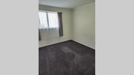 Newly Renovated 3 Bedroom Home - Photo 4