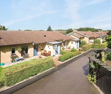 Tisdagsgatan, Helsingborg - Photo 3