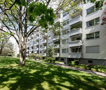 Zwischen Gartenbad Bachgraben und Kannenfeldpark - helle 3-Zimmerwo... - Foto 1