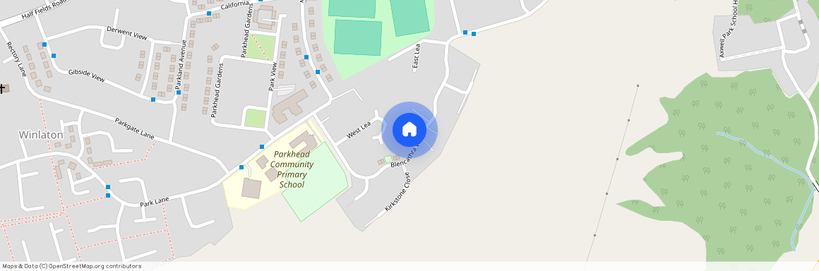 Blencathra Way, Blaydon