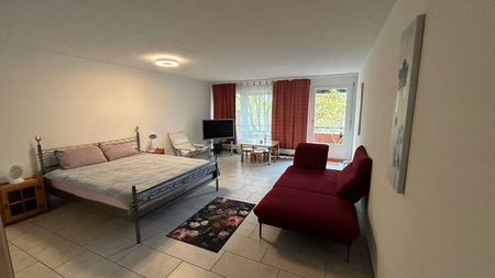 Studio moderne et lumineux avec balcon et accès au jardin | À quelques minutes de la gare centrale de Zurich - Photo 5