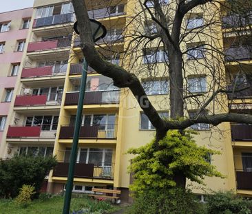 Byt 1+1 k pronájmu, Opava / Kylešovice, ulice 17. listopadu - Fotografie 5