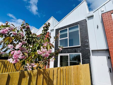 80 Milton St, Somerfield - Photo 3