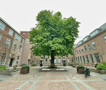 Appartement te huur: Rhijngeesterstraatweg 40-J 2341 BV Oegstgeest - Photo 4