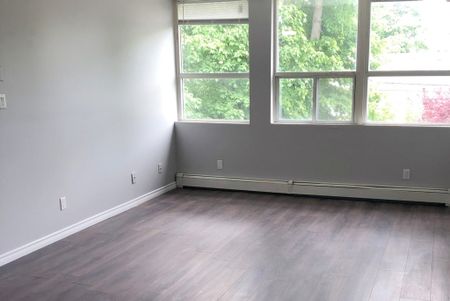 Canboro Garden - Photo 5