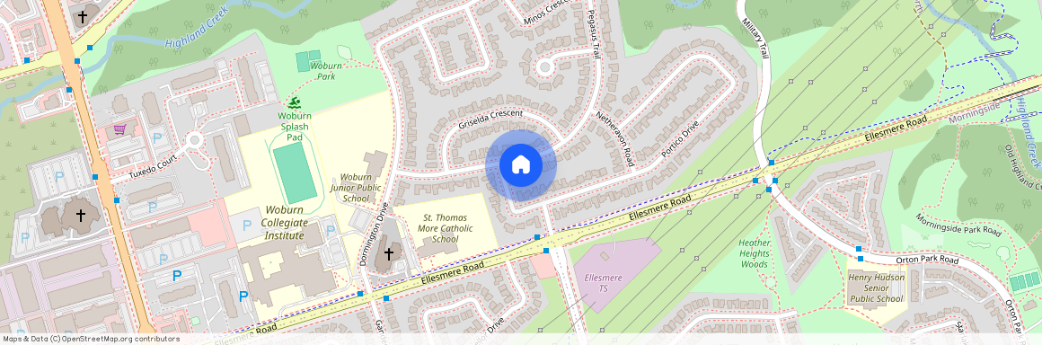 29 Pegasus Trail Unit# Bsmt, Toronto