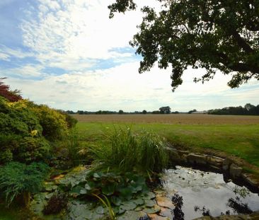 3 bedroom detached house to rent - Photo 4