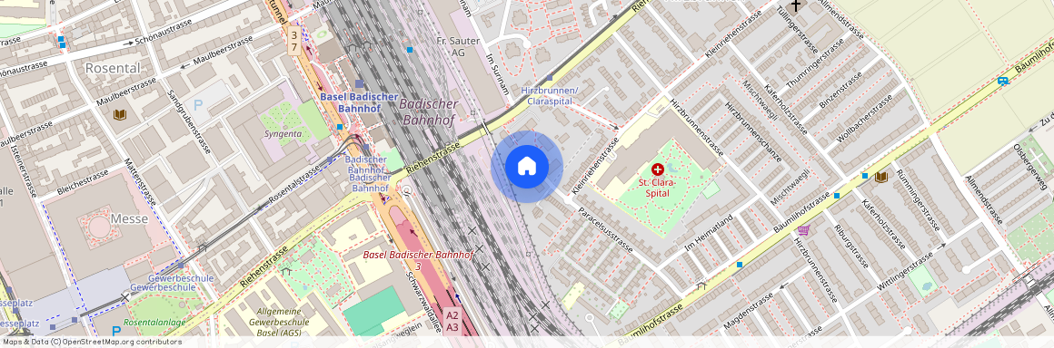 Paracelsusstr, 65, 4058 Basel