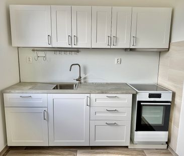 Pronájem bytu 1+1 40 m² - Fotografie 4