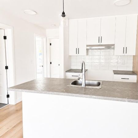 2 CH - 1 SDB - Saint-Gilles - $1,200 /mo - Photo 4