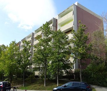 Große 3-Raum mit Top-Aussicht - Photo 2