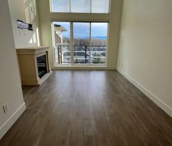 Highstreet area one bedroom newly renovated high ceiling - Photo 2