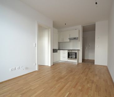 Annenviertel – 35m² – 2 Zimmer – südseitiger Balkon - Photo 2