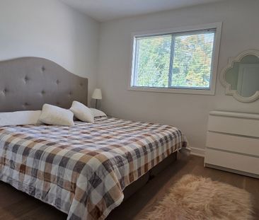 For Lease - 337 Carruthers Avenue, Newmarket, Ontario - Photo 4