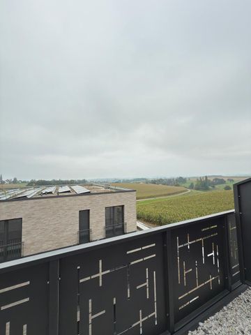 Effizienz trifft Eleganz: Das grüne KfW-40+ Penthouse-Juwel - Foto 5