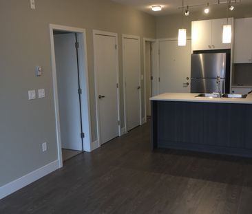 PARALLEL TWO APTS - 109 - P2-109 - Photo 5