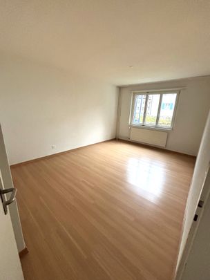 8045 Zürich - Photo 1