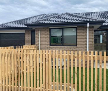 Sunny 3-bedroom house for rent!! - Photo 1