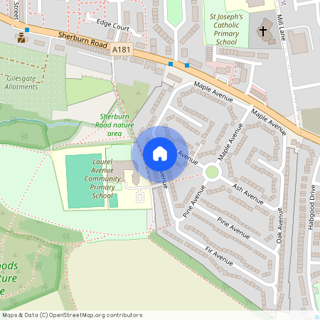 Laurel Avenue, Gilesgate, DH1