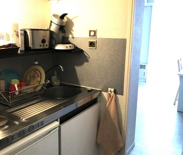 Location Appartement 1 pièce 20m² - Photo 3