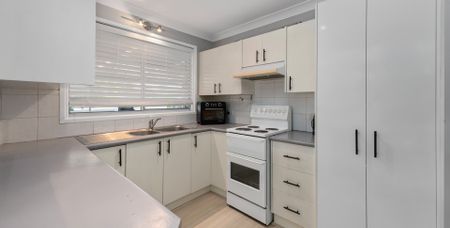 7 Lee-Ann Crescent, Cessnock NSW 2325 - House For Rent | Domain - Photo 4