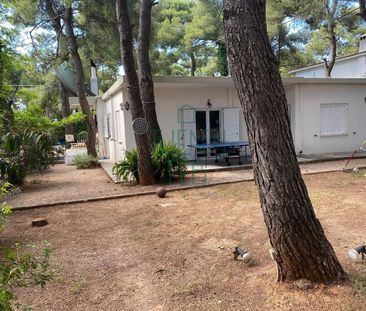 Μονοκατοικία για ενοικίαση Νέα Κηφισιά (Κηφισιά) - Photo 6