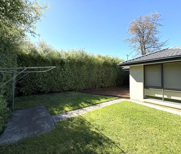 Newly Renovated Comfortable Family Home - Photo 4