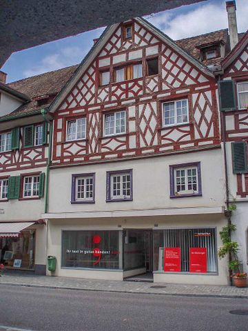Frisch sanierte Wohnung in Steckborn - Foto 4