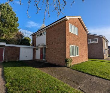 3 bedroom link detached house to rent - Photo 6