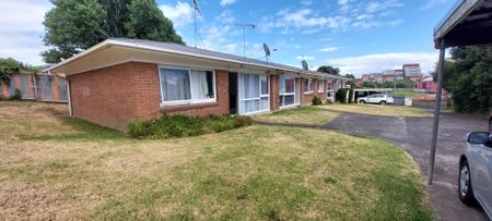 Freshly Renovated, includes Water and Lawns - Photo 3