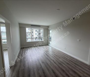 2XXXX Gilley Road 413 Richmond - Photo 1