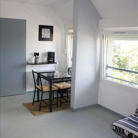 Studio à louer, 1 pièce - Orléans 45000 - Photo 3