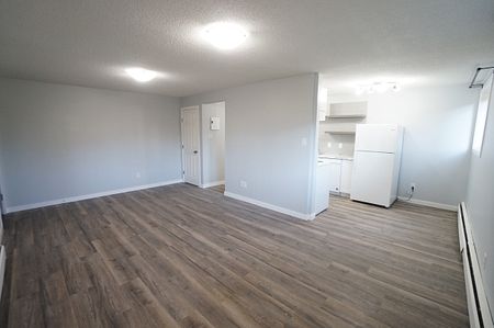 AMAZING newly reno'd Apartment in Lacombe! CATS OK! - Photo 5