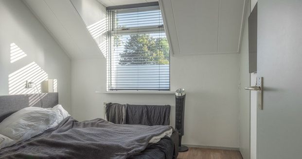 Te huur: Appartement Plantsoen 24 D in De Wilp - Photo 1