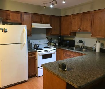 1 Bedroom at Old Yale Heights! - Photo 4