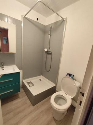 Location Appartement 1 pièce Meublé 22m² BREST 29200 - Photo 1