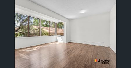 Light-Filled One-Bedroom Unit in Ashfield - Photo 5