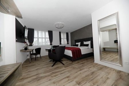 1-ROOM APARTMENT IN REICHENBURG (SZ), FURNISHED - Photo 3