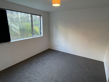 113B York Place, Dunedin Central, Dunedin City - Photo 3