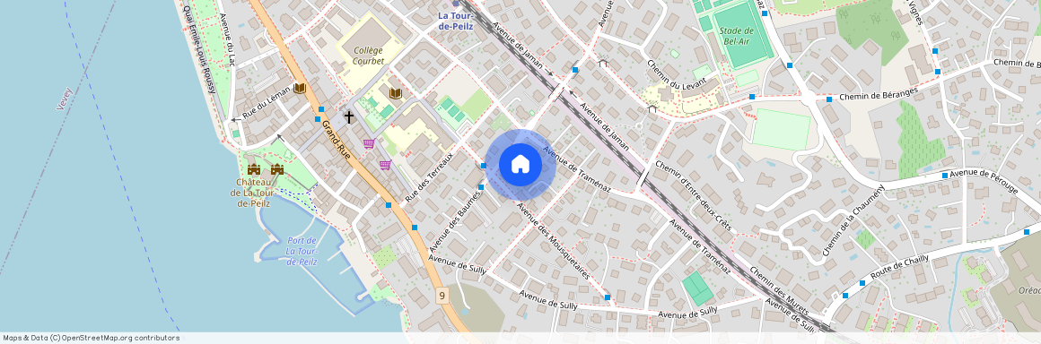 Avenue des Baumes 12, 1814, La Tour-De-Peilz