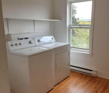 Immeuble - 476-484 Papineau 480 Papineau - Photo 3