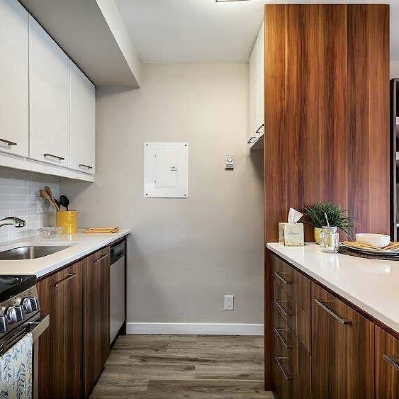 3655 Avenue Papineau, Montréal, QC - Photo 1