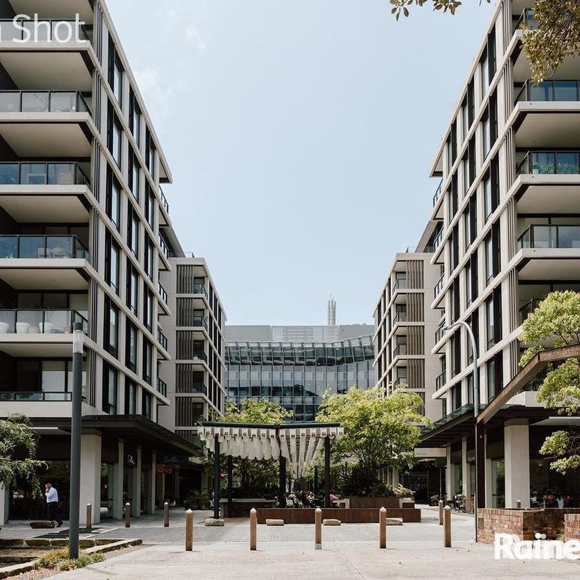 One bedroom apartment perfectly situated in the heart of Randwick - Photo 1