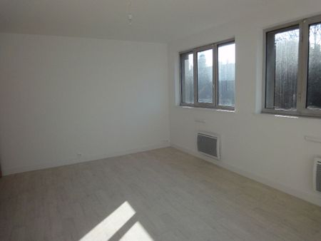 Location Appartement 2 pièces 43m² ST ANDRE LEZ LILLE 59350 - Photo 4