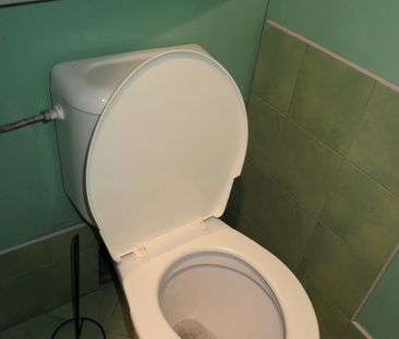 Pronájem bytu 1+1 v osobním vlastnictví 35 m², Hradec Králové - Fotografie 2