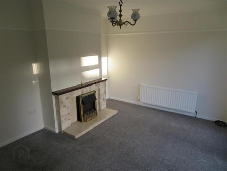 6 Demesne Avenue, Lurgan, BT66 7BL - Photo 3