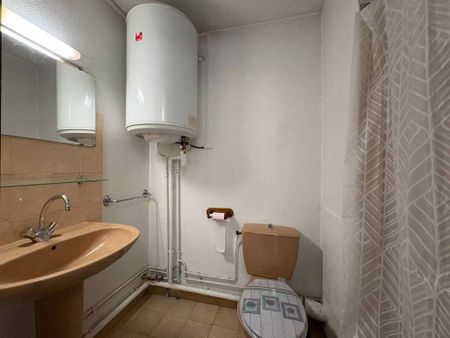 Location Appartement 1 pièce 16m² GRENOBLE 38000 - Photo 2