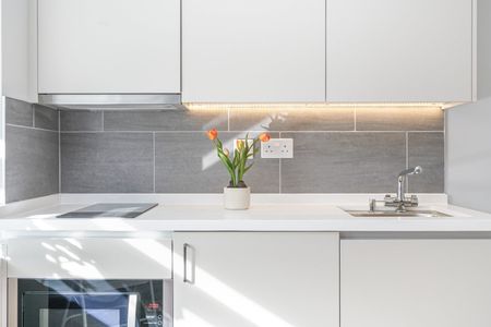 Studio Flat, Ackley House, W5 - Photo 5