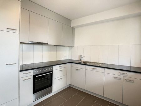Superbe logement entièrement rénové avec vue imprenable sans vis-à-vis! - Photo 5