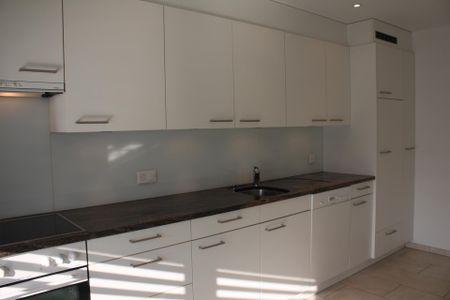 Sonnige & grosse 4.5 ZWG mit zwei Balkonen in ruhiger EFH Gegend - Foto 3